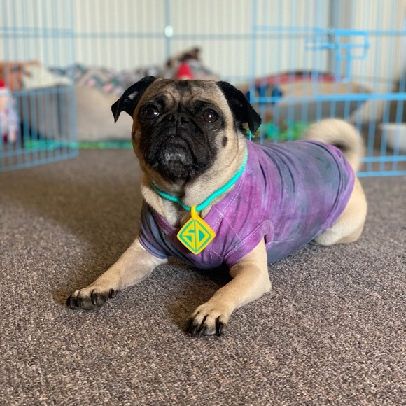 🖤CUSTOMER PICS🖤 - Picture 4 of 16